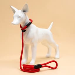 Ринговка для собак, 130×1 см, красная