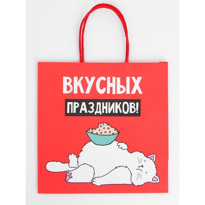 Набор пакетов новогодних крафтовых 5 штук «С Новым годом тебя!», 21×12×9 см