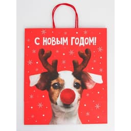 Набор пакетов новогодних крафтовых 5 штук «С Новым годом тебя!», 21×12×9 см