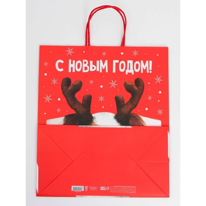 Набор пакетов новогодних крафтовых 5 штук «С Новым годом тебя!», 21×12×9 см