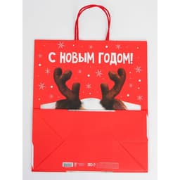 Набор пакетов новогодних крафтовых 5 штук «С Новым годом тебя!», 21×12×9 см