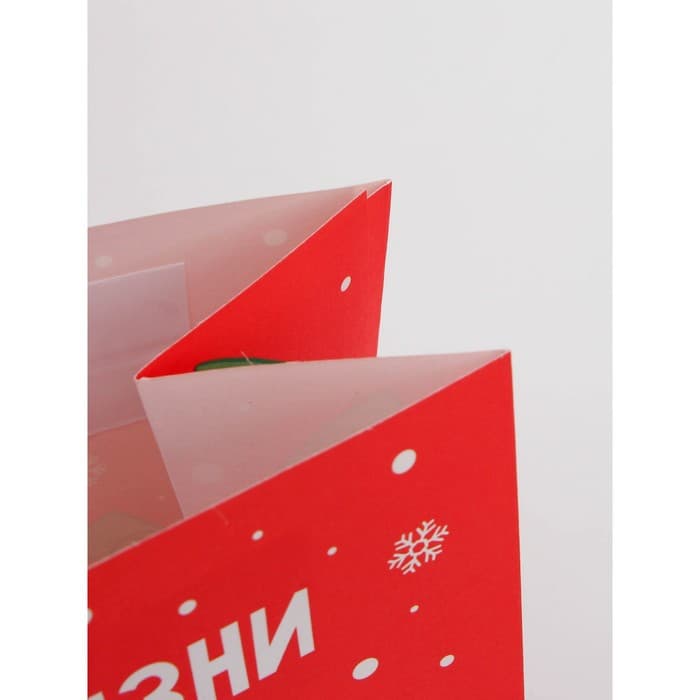 Набор пакетов новогодних крафтовых 5 штук «С Новым годом тебя!», 21×12×9 см