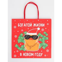 Набор пакетов новогодних крафтовых 5 штук «С Новым годом тебя!», 21×12×9 см