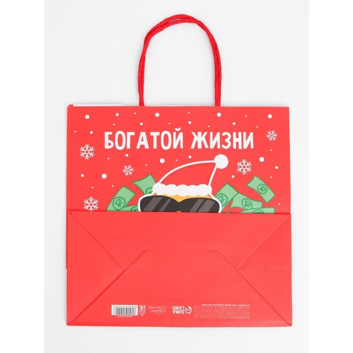 Набор пакетов новогодних крафтовых 5 штук «С Новым годом тебя!», 21×12×9 см