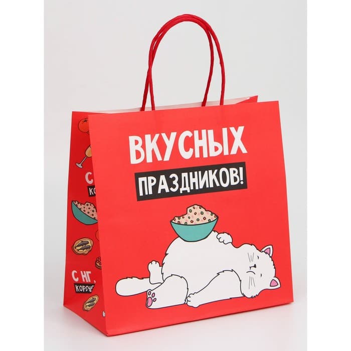 Набор пакетов новогодних крафтовых 5 штук «С Новым годом тебя!», 21×12×9 см