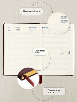 Ежедневник датированный Calligrata, А5, 2026, твёрдая обложка из искусственной кожи «Небраска», 168 листов, бордовый