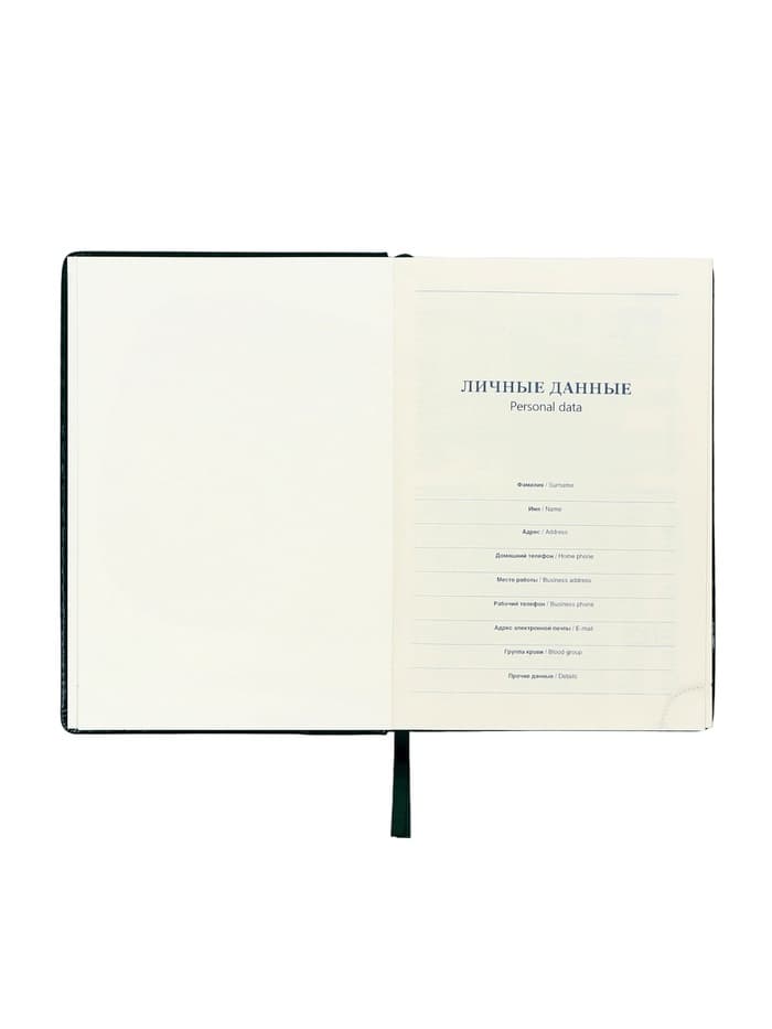 Ежедневник датированный Calligrata, А5, 2026, твёрдая обложка из искусственной кожи «Небраска», 168 листов, зелёный