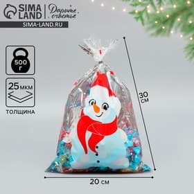 Пакет подарочный новогодний пластиковый «Снеговичок», 20×30 см