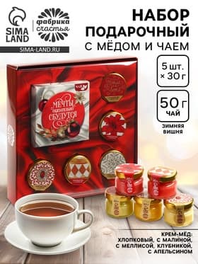 Подарочный набор новогодний «Мечты сбудутся»: чай, крем-мёд
