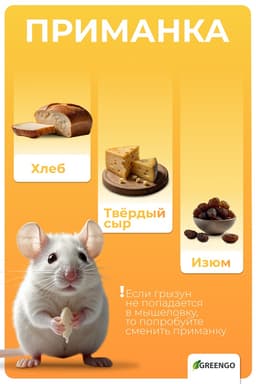 Мышеловка, 8×5 см, дерево, Greengo