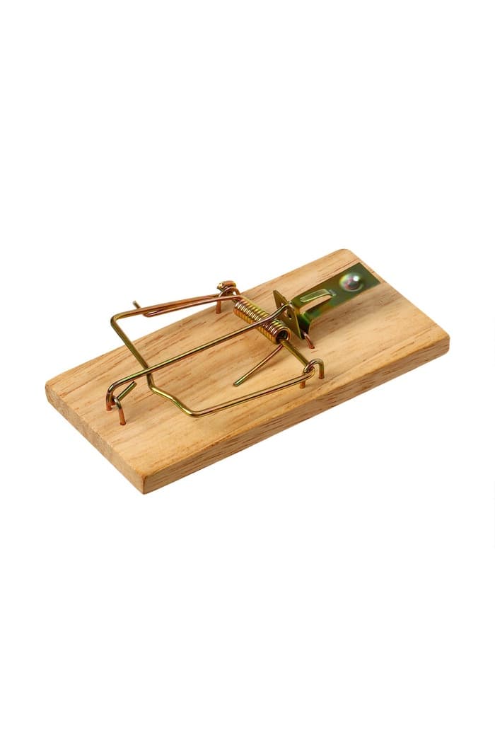 Мышеловка, 8×5 см, дерево, Greengo