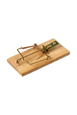 Мышеловка, 8×5 см, дерево, Greengo