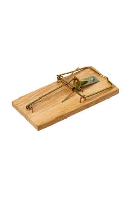 Мышеловка, 8×5 см, дерево, Greengo