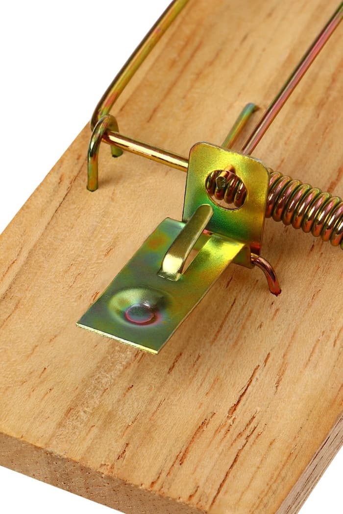 Мышеловка, 8×5 см, дерево, Greengo