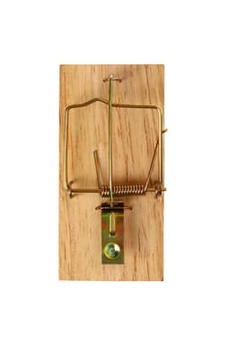 Мышеловка, 8×5 см, дерево, Greengo