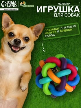 Мяч для собак «Молекула»,6 см, с бубенчиком, разноцветный
