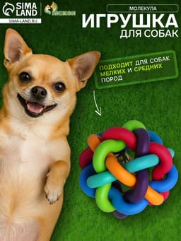 Мяч для собак «Молекула»,6 см, с бубенчиком, разноцветный