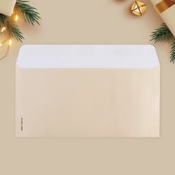 Набор подарочных конвертов «С Новым годом», 10 штук, тиснение, 22 х 11 см