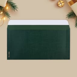 Набор подарочных конвертов «С Новым годом», 10 штук, тиснение, 22 х 11 см