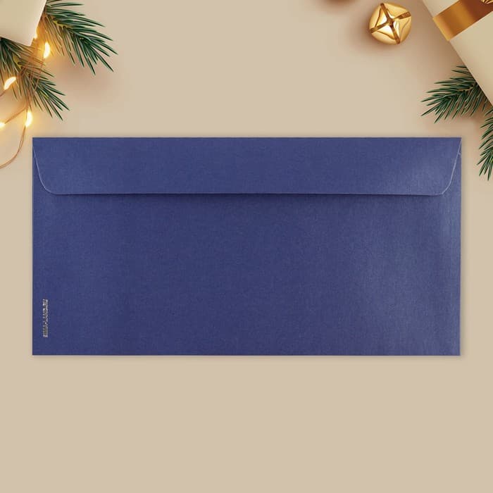 Набор подарочных конвертов «С Новым годом», 10 штук, тиснение, 22 х 11 см