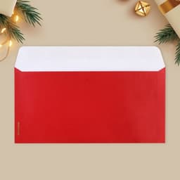 Набор подарочных конвертов «С Новым годом», 10 штук, тиснение, 22 х 11 см