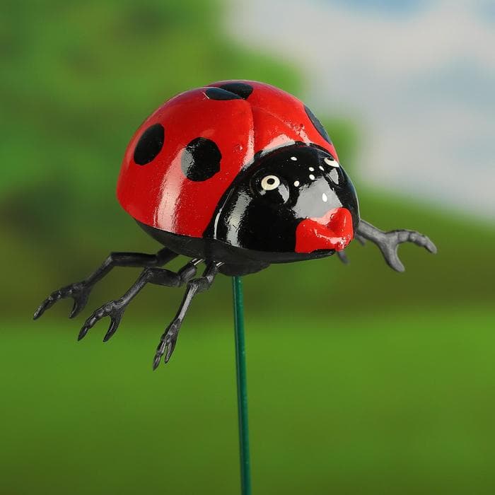 Штекер садовый «Божья коровка дайтон», 6×5 см, h=30 см, белый, Greengo