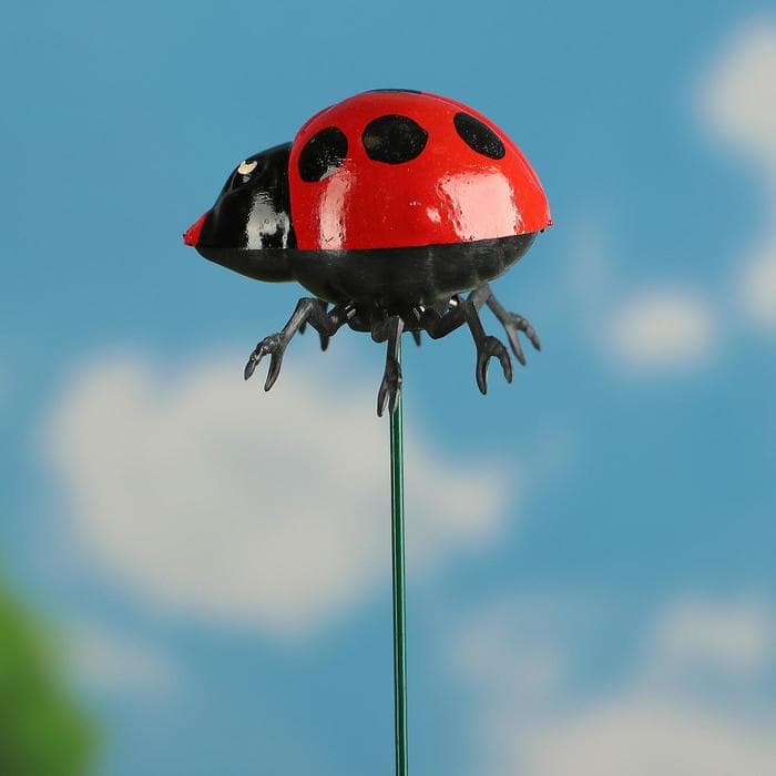 Штекер садовый «Божья коровка дайтон», 6×5 см, h=30 см, белый, Greengo