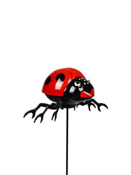 Штекер садовый «Божья коровка дайтон», 6×5 см, h=30 см, белый, Greengo