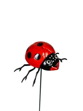 Штекер садовый «Божья коровка дайтон», 6×5 см, h=30 см, белый, Greengo
