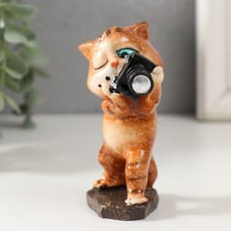 Фигурка полистоун лак «Котишка фотокорреспондент», 6×4.5×9 см
