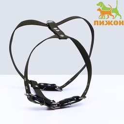 Шлейка брезентовая «Прогулочная», 2.5 см, ОШ 46-58 см, ОГ 78-85 см