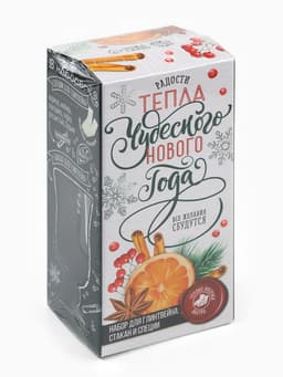 Подарочный набор для приготовления глинтвейна «Чудесного Нового года»: бокал 250 мл., специи 30 г, носки 36-39 размера