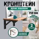 Кронштейн складной для столов и полок ТУНДРА, 2 шт., длина 250 мм, сталь черный