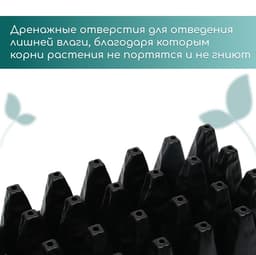 Кассета для рассады, 32 ячейки по 150 мл, пластик, чёрная, 51×28×10 см, Greengo