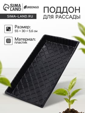 Поддон для рассады, 55×30×5.6 см, пластик, чёрный, дно МИКС, Greengo