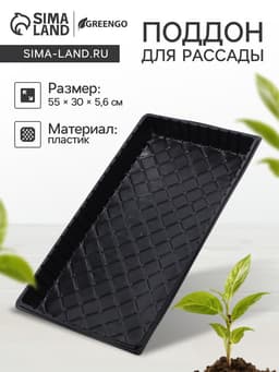 Поддон для рассады, 55×30×5.6 см, пластик, чёрный, дно МИКС, Greengo