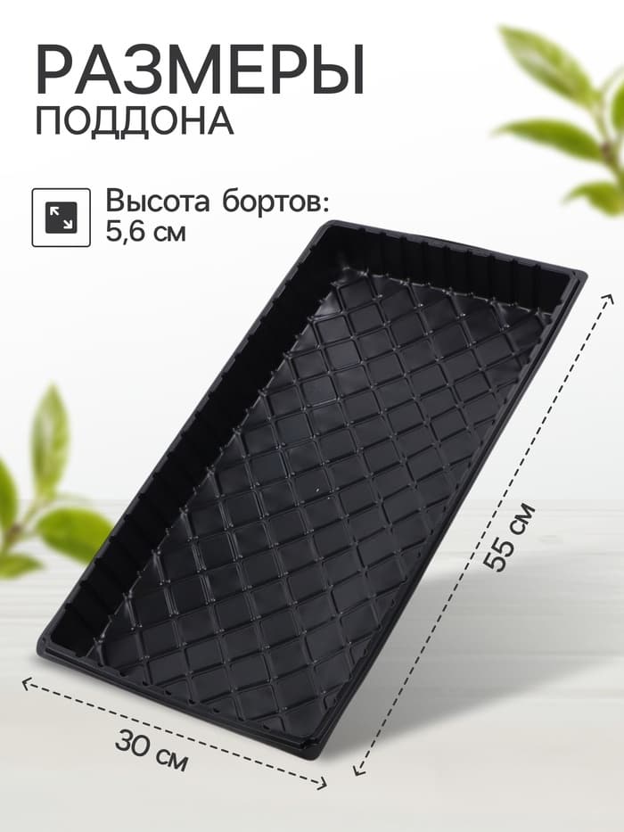 Поддон для рассады, 55×30×5.6 см, пластик, чёрный, дно МИКС, Greengo
