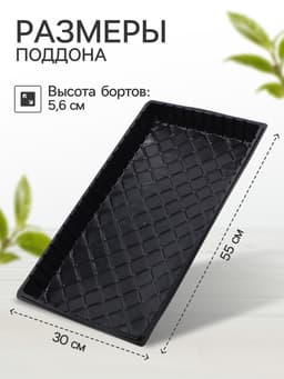 Поддон для рассады, 55×30×5.6 см, пластик, чёрный, дно МИКС, Greengo