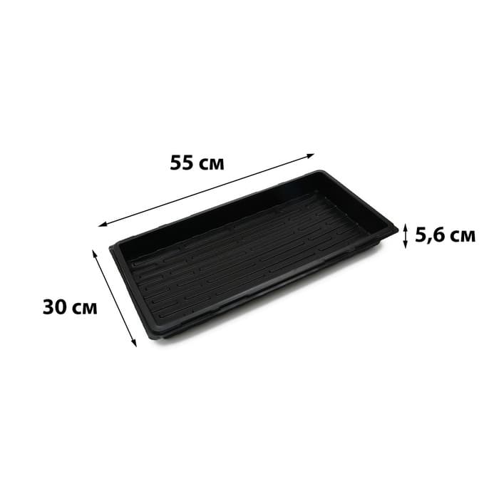 Поддон для рассады, 55×30×5.6 см, пластик, чёрный, дно МИКС, Greengo