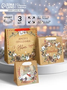 Набор пакетов подарочных новогодних «Верь в чудеса», 3 шт., 14×14×9 см, 22×22×11 см, 30×30×12 см