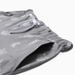 Шорты мужские KAFTAN Tiger, размер 54
