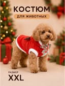 Костюм для животных «Новогодний с рожками», размер 2XL (ДС 45, ОГ 55 см)