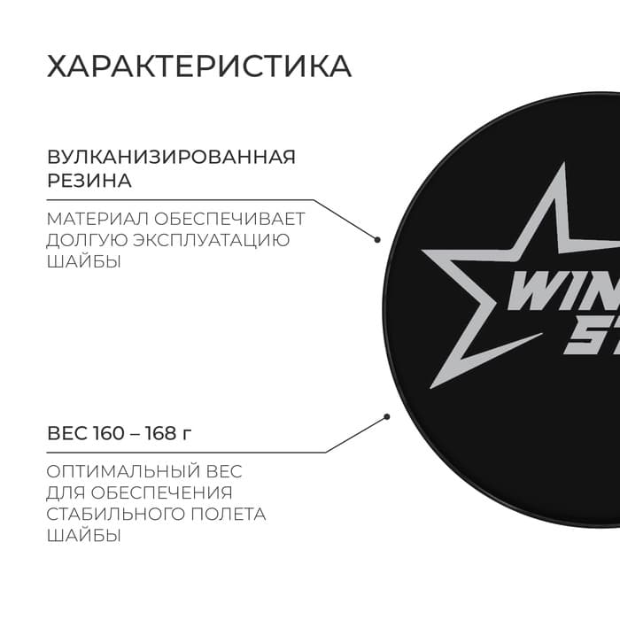 Шайба хоккейная Winter Star, взрослая, d=7.6 см