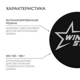 Шайба хоккейная Winter Star, взрослая, d=7.6 см