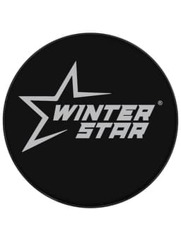 Шайба хоккейная Winter Star, взрослая, d=7.6 см
