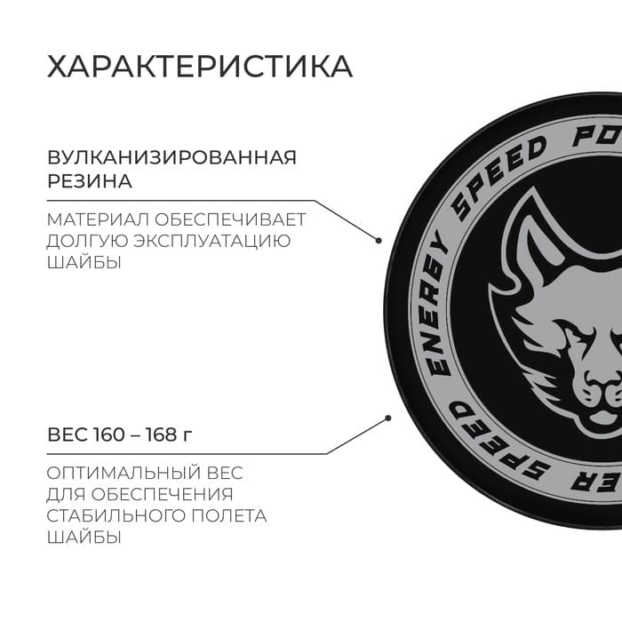 Шайба хоккейная Winter Star, взрослая, d=7.6 см