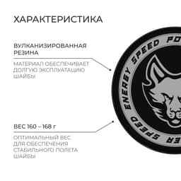 Шайба хоккейная Winter Star, взрослая, d=7.6 см