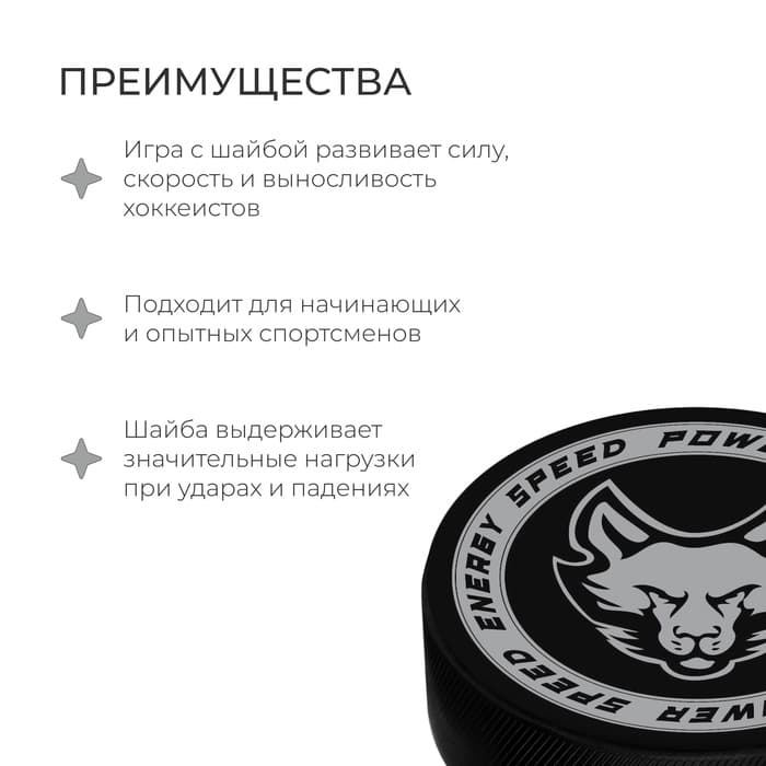 Шайба хоккейная Winter Star, взрослая, d=7.6 см