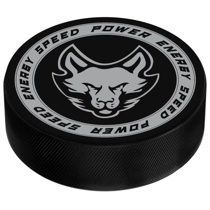 Шайба хоккейная Winter Star, взрослая, d=7.6 см