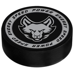 Шайба хоккейная Winter Star, взрослая, d=7.6 см